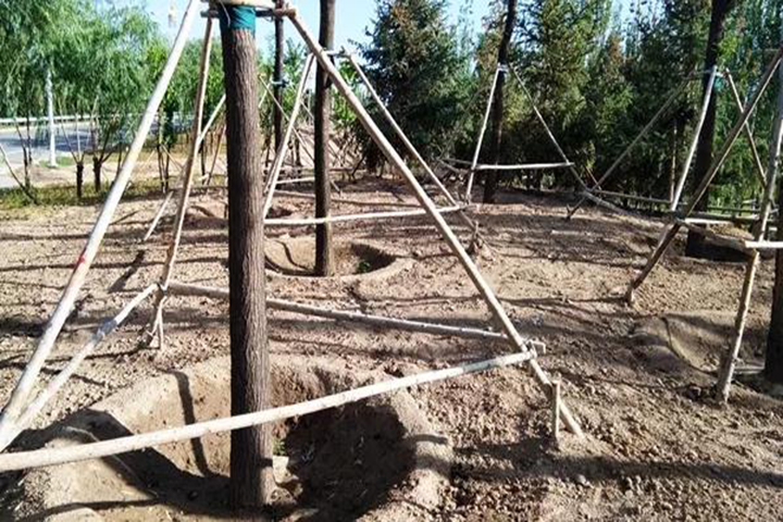 20180418/4a9336f3ca053910c3f03257637dd1cb.jpg 4a9336f3ca053910c3f03257637dd1cb.jpg