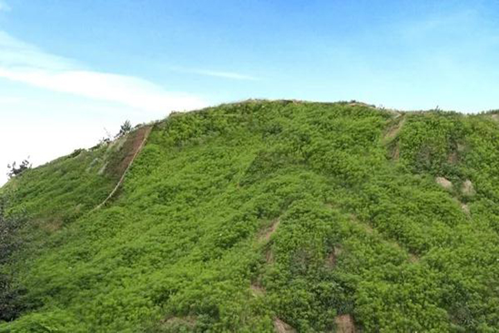 20180418/6c0cf1f415952f68e0ef7a9c3c9d5124.jpg 6c0cf1f415952f68e0ef7a9c3c9d5124.jpg