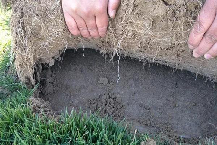 20180418/757d107f47d6385399ac17442e4da9a2.jpg 757d107f47d6385399ac17442e4da9a2.jpg