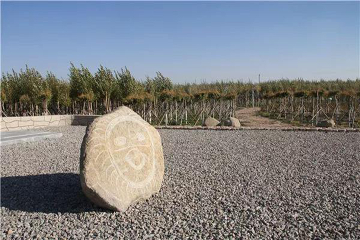 20180418/7eb8ac86e88799686566cb91087c954b.jpg 7eb8ac86e88799686566cb91087c954b.jpg