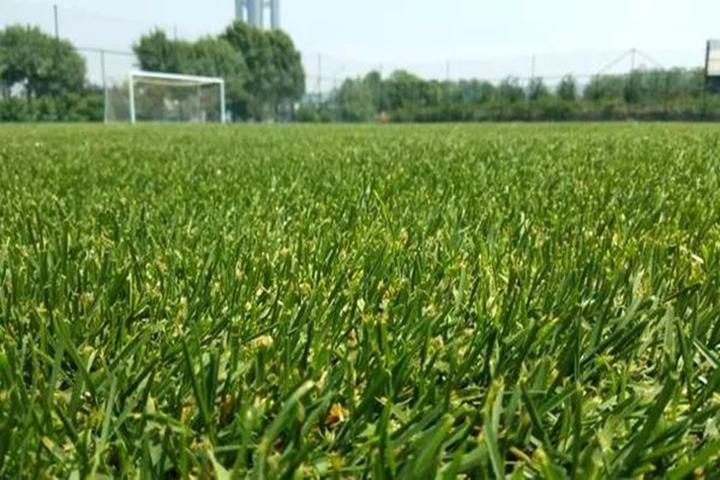 20180418/899d6296dbda631e58bb138f1ad15fb2.jpg 899d6296dbda631e58bb138f1ad15fb2.jpg