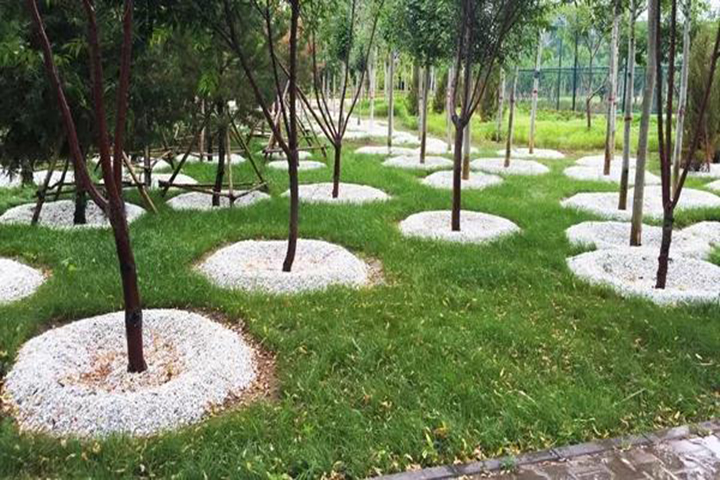 20180418/8e2584a1124bbd7d98be1692cd653ff6.jpg 8e2584a1124bbd7d98be1692cd653ff6.jpg