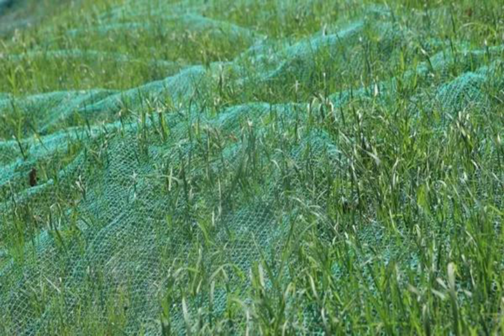 20180418/9f31a3848538efe8815bd6112cff893f.jpg 9f31a3848538efe8815bd6112cff893f.jpg