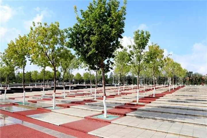 20180418/e92a0e8a1e23ad7795c0bcf3e79e4fa3.jpg e92a0e8a1e23ad7795c0bcf3e79e4fa3.jpg