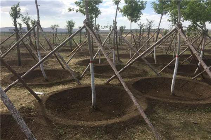 20180418/ee63b2291d5383a479f7da1ce60fb6b6.jpg ee63b2291d5383a479f7da1ce60fb6b6.jpg