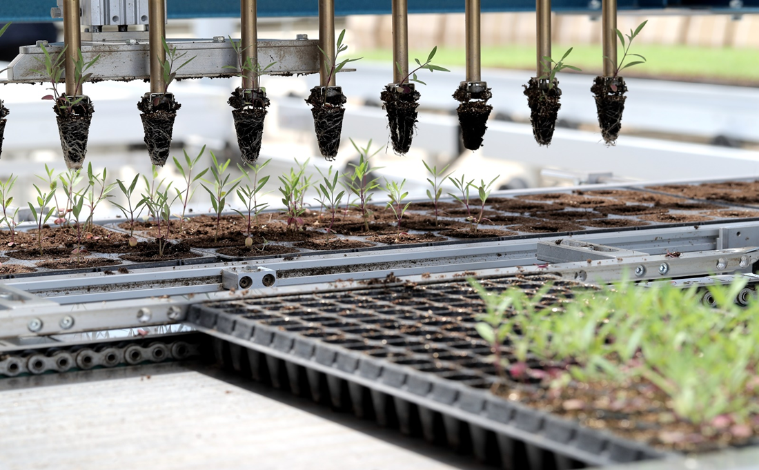 20220808/626d9a22654481e2013c14a544a7f0cf.png 626d9a22654481e2013c14a544a7f0cf.png