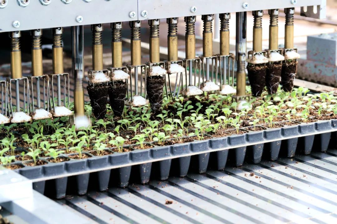 20240407/b6bca9f88c18252b48557f9149aead38.jpg 20240407/b6bca9f88c18252b48557f9149aead38.jpg