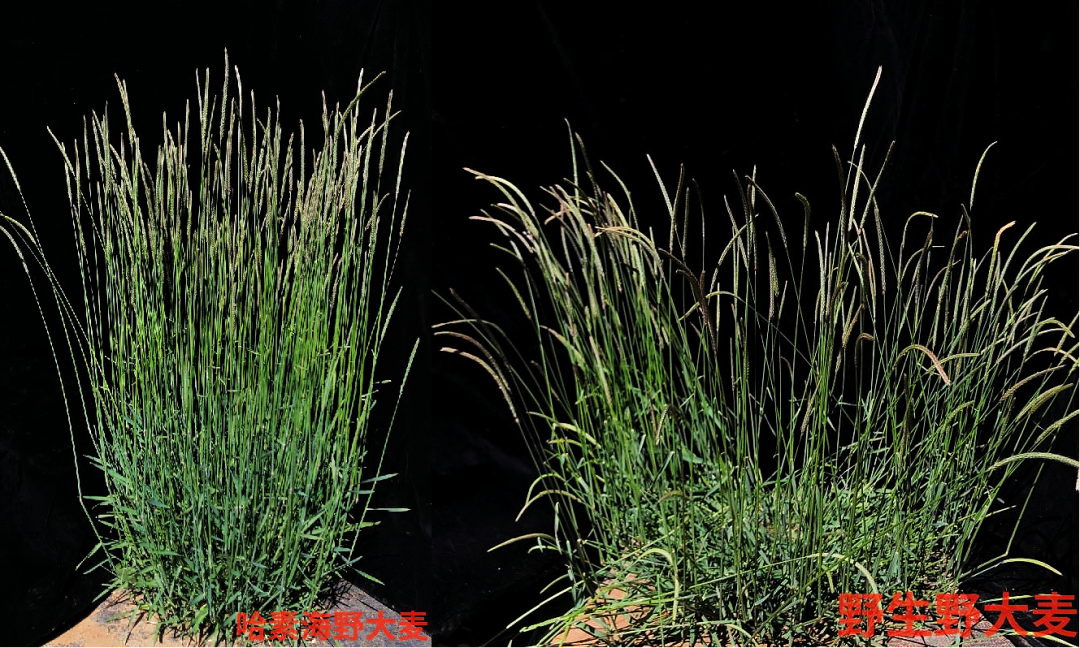 20240710/4b060bca2a608245d2128155d17a5d44.png 20240710/4b060bca2a608245d2128155d17a5d44.png