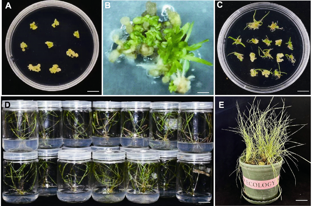 20240710/f09f93c29586921a181ba203bb0ea11f.png 20240710/f09f93c29586921a181ba203bb0ea11f.png