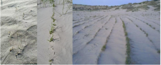 20240830/1b53737d48715069bd0cbaea30573511.png 20240830/1b53737d48715069bd0cbaea30573511.png