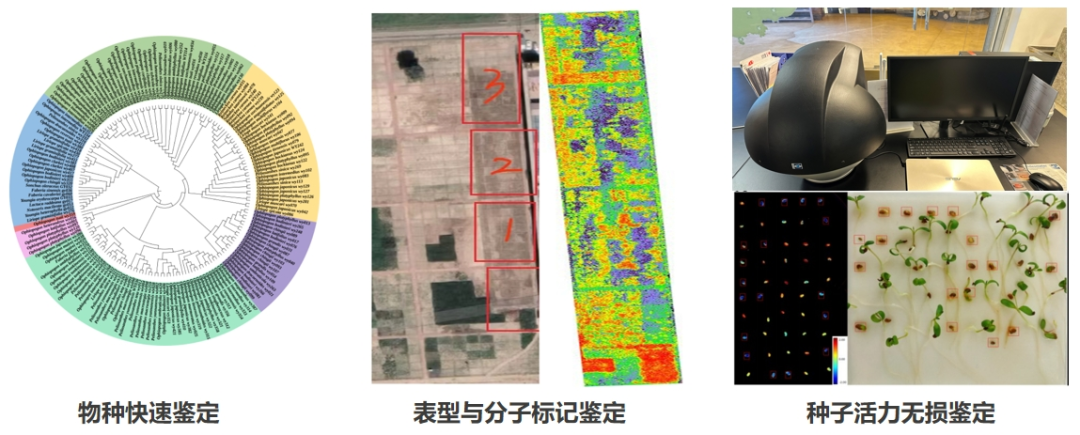 20240830/4a3e016baf91bce448944a0988cbc762.png 20240830/4a3e016baf91bce448944a0988cbc762.png