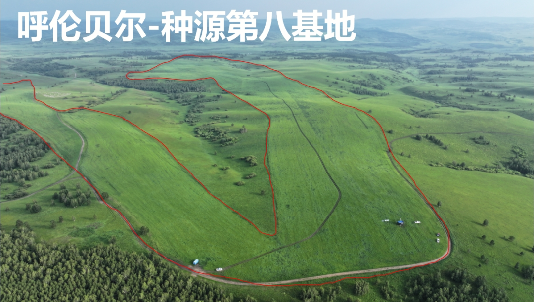 20240830/61243c794f660491c67d67cc952b09f7.png 20240830/61243c794f660491c67d67cc952b09f7.png