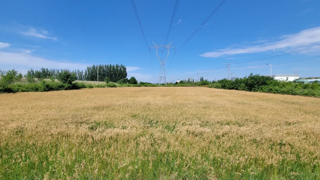 20250623/3c7fe80a981433ff3a6a5b12270fb77c.jpg 20250623/3c7fe80a981433ff3a6a5b12270fb77c.jpg